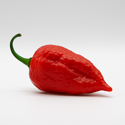 Bhut Jolokia