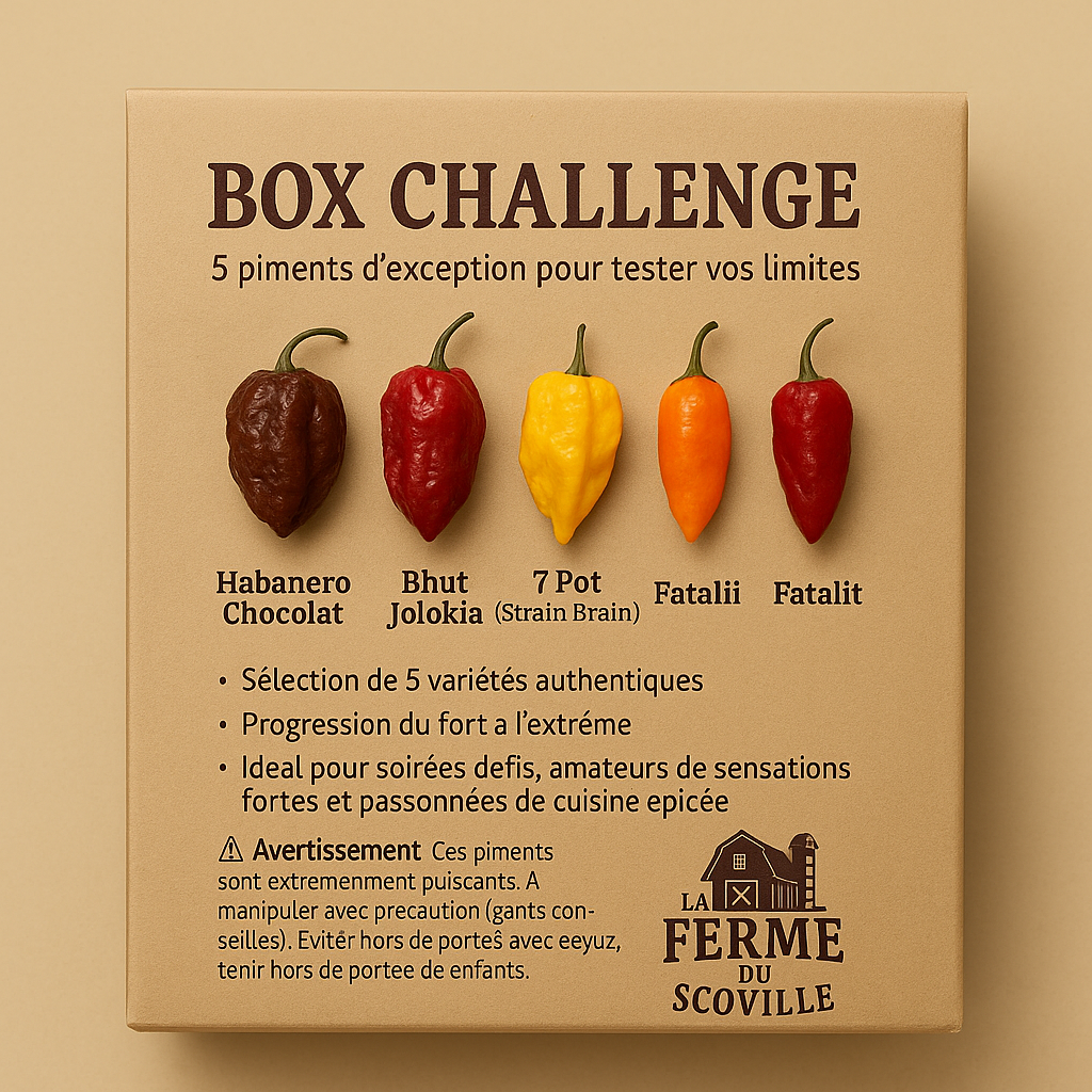 Box challenge
