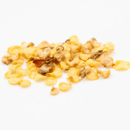 Graine Habanero Chocolat