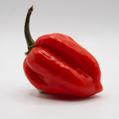 Habanero Rouge