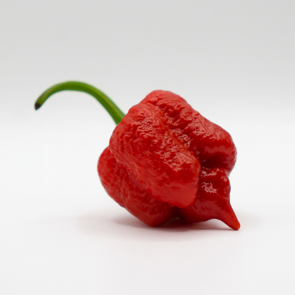 Trinidad Scorpion